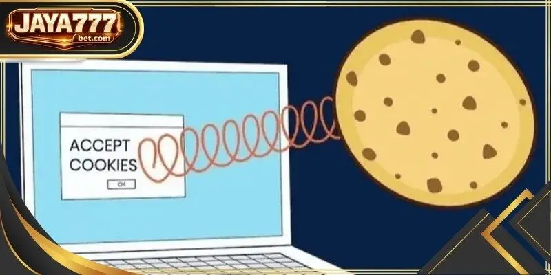 All information exchanged between your browser and our server is protected