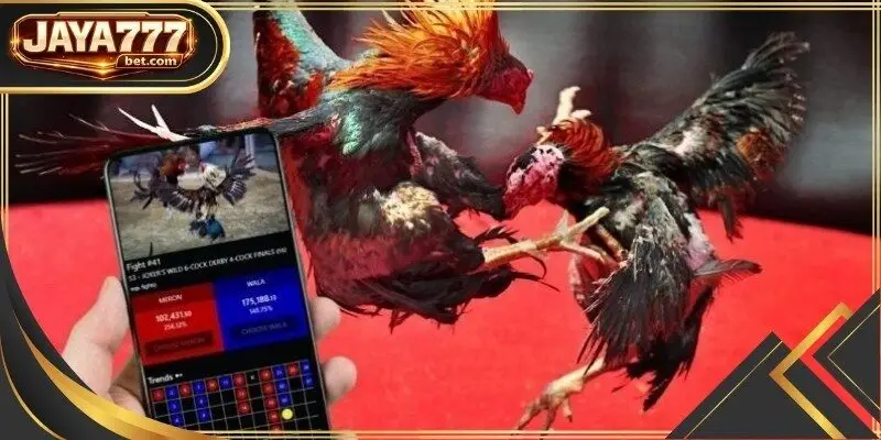A professional gambler demonstrates how to analyze bird statistics