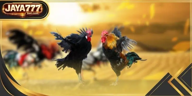 Players can observe every tactical movement of the birds through crystal-clear