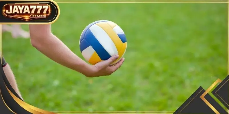 Volleyball Betting